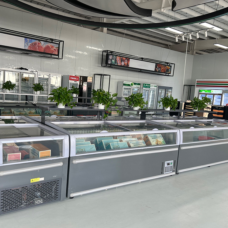 Refrigerador Comercial Tipo Il - Commercial Chest Freezer avaliação e preço