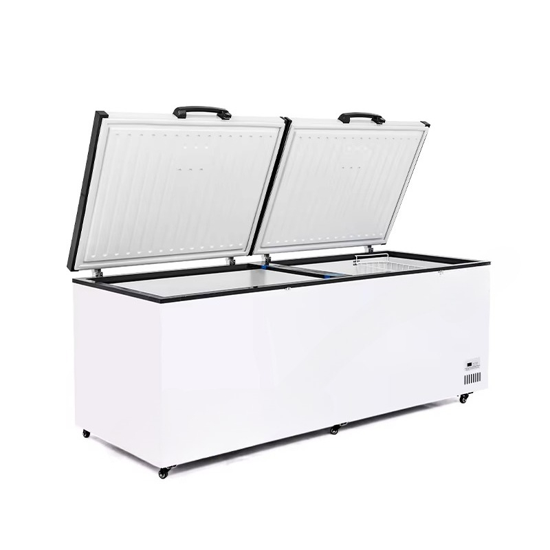 Novo congelador horizontal com - Commercial Chest Freezer avaliação e preço