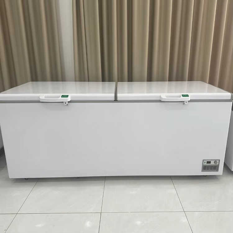 Novo congelador horizontal com - Commercial Chest Freezer avaliação e preço