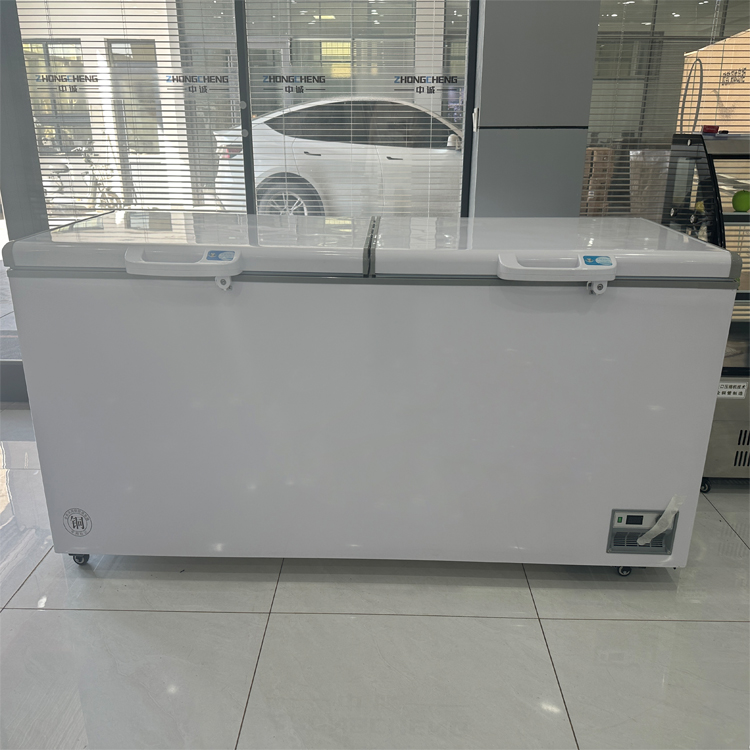 Novo congelador horizontal com - Commercial Chest Freezer avaliação e preço